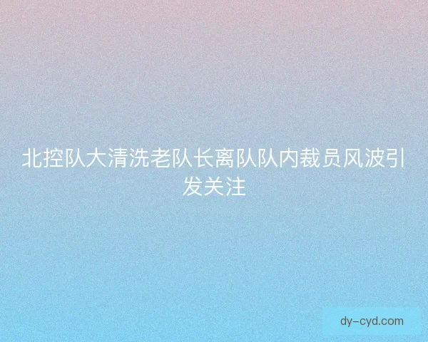 北控队大清洗老队长离队队内裁员风波引发关注