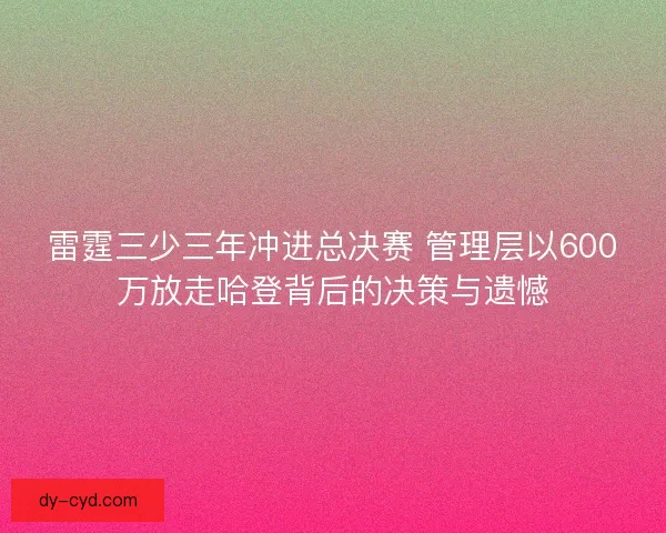 雷霆三少三年冲进总决赛 管理层以600万放走哈登背后的决策与遗憾 雷霆三少三年冲进总决赛 管理层以600万放走哈登背后的决策与遗憾